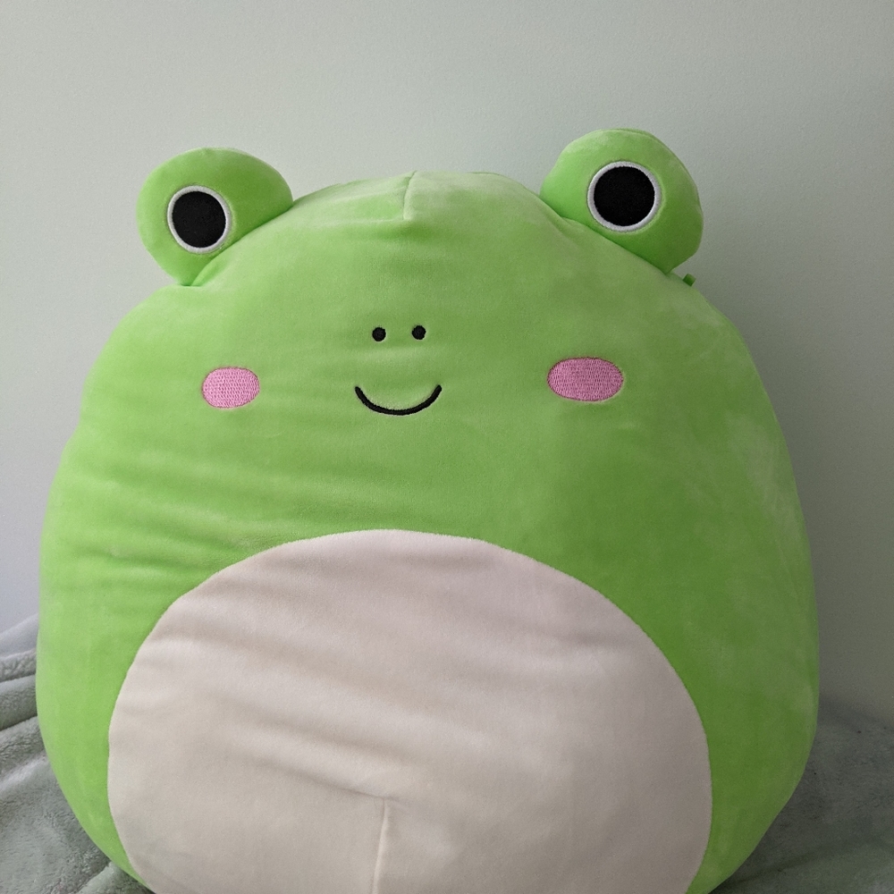 BNwt wendy frog squishmallow 16"